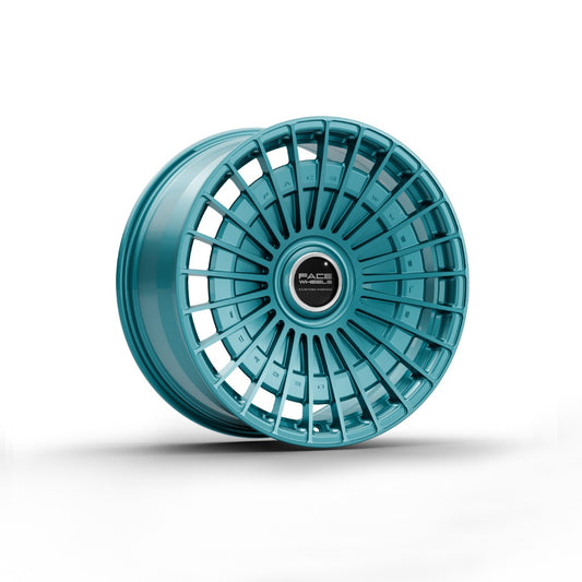 FW1027 - Face Wheels