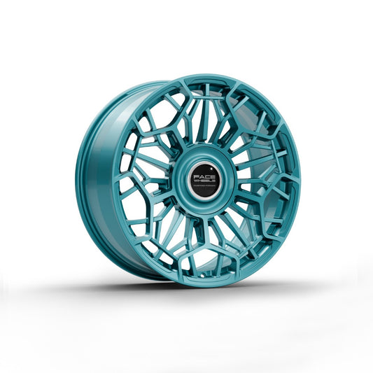 FW1028-M - Face Wheels