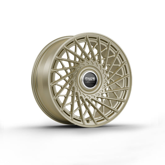 FW1029 - Face Wheels