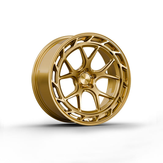 FW1065 - Face Wheels