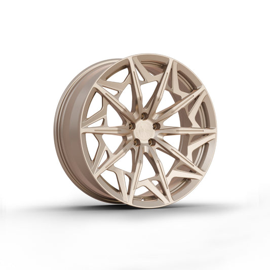 FW1025 - Face Wheels