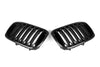 BMW X3 M40 s/x Drive 340 G01 Pre-LCI 2019 2020 2021 & X4 M40 xDrive 30 G02 Pre-LCI 2019 2020 2021 with Aftermarket Parts - Single Slat Front Kidney Grill Pre-preg Carbon Fiber from Aero Republic