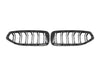 BMW Z4 M40 / sDrive30 G29 2019 2020 2021 2022 2023 2024 with Aftermarket Parts - Dual Slat Front Kidney Grill Pre-preg Carbon Fiber from Aero Republic