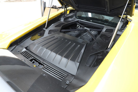 Lamborghini Huracan Tecnica Performante Evo LP610 LP580 2015 2016 2017 2018 2019 2020 2021 2022 2023 2024 with Aftermarket Parts - Engine Bay Panels Dry Pre-preg Carbon Fiber from Aero Republic