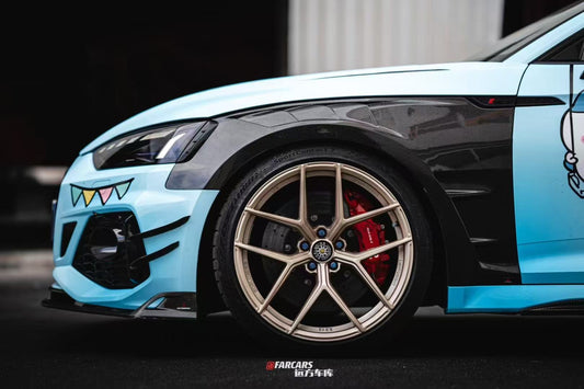 Audi RS5 B9 B9.5 2017 2018 2019 2020 2021 2022 2023 2024 2025 with Aftermarket Parts - AE Style Front Fenders Carbon Fiber from ArmorExtend