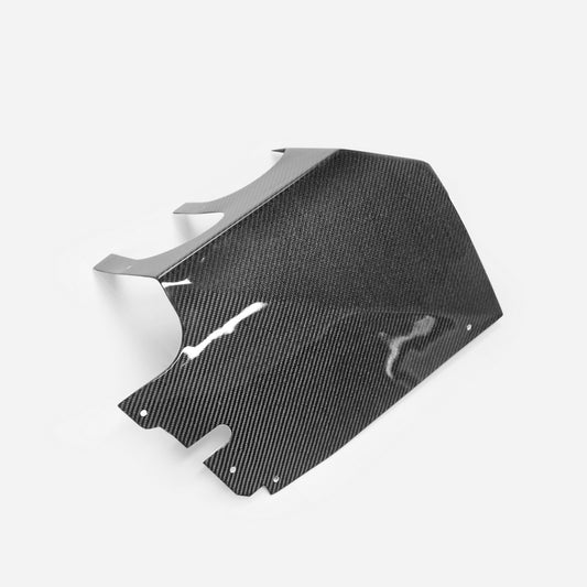 Nissan R34 ER34 HR34 GTT M34 RB25 1995 1996 1997 1998 1999 2000 2001 2002 2003 2004 with Aftermarket Parts - Air Filter Cover Shield Carbon Fiber/FRP from EPR USA