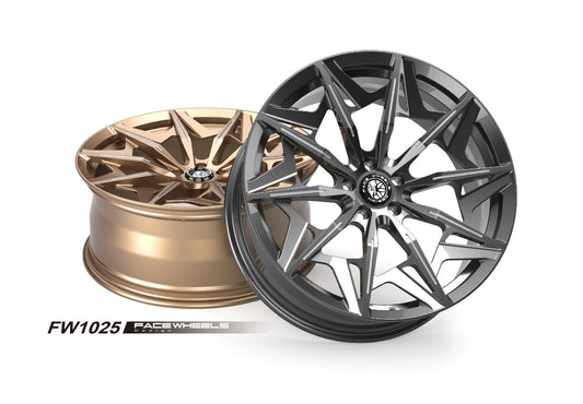 FW1025 - Face Wheels
