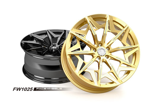 FW1025 - Face Wheels