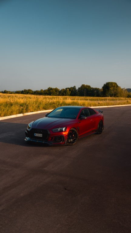 Future Design Carbon Fiber FRONT GRILL SIDE OVERLAY TRIM - "Blaze kit" for Audi RS5 B9 2017-2019 - Performance SpeedShop
