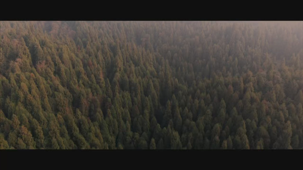 BMW M3 G80 G81 2021-ON  M4 G82 G83 2021-ON with Aftermarket Parts - Venom Sport Series Style Rear Diffuser & Canards Dry Pre-preg Carbon Fiber from ArmorExtend