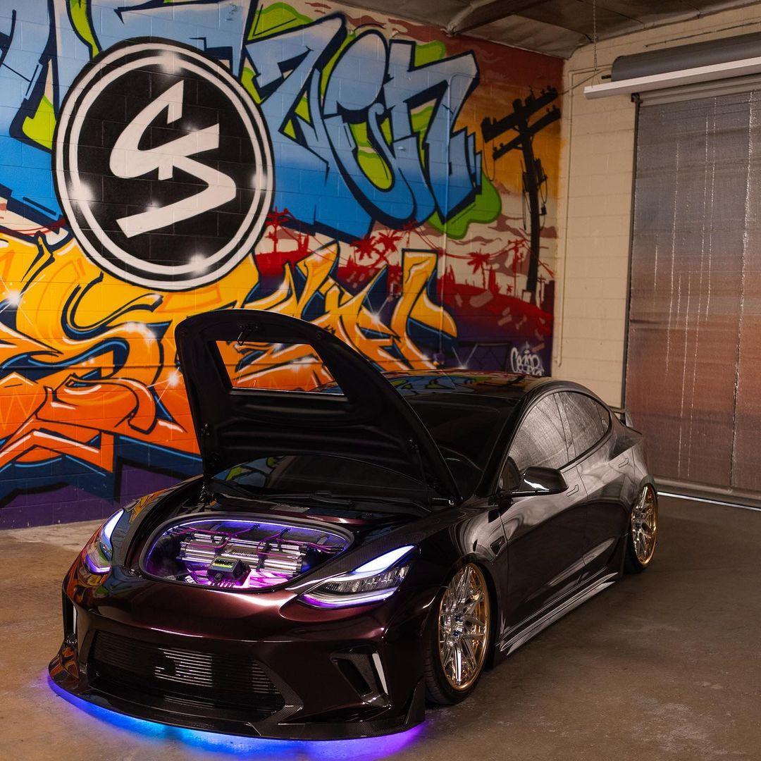 Tesla Model 3 Performance/Base Aftermarket Parts CMST Tuning Hood ...