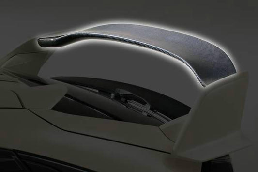 Honda Civic Type-R FK8 2017 2018 2019 2020 2021 with Aftermarket Parts - VRS Style Rear Wing Flap Carbon Fiber / FRP from EPR USA